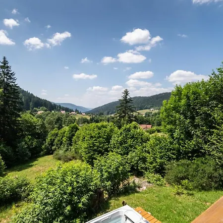 Chalet Léonice - 8 pers - Jacuzzi Sauna Gérardmer