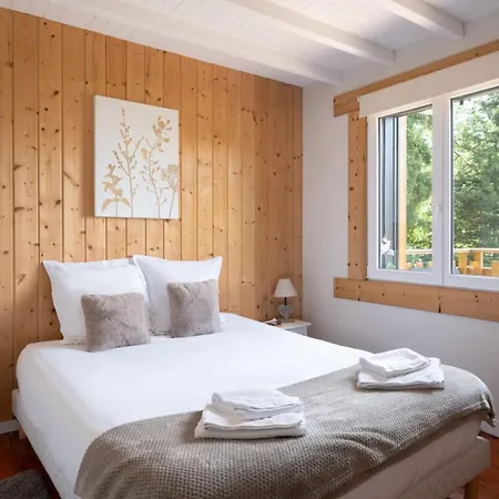Chalet Léonice - 8 pers - Jacuzzi Sauna Chalet